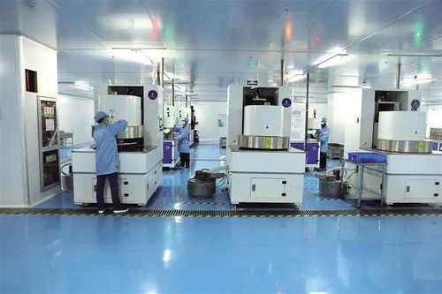 陕西省2020年重点项目观摩活动综述