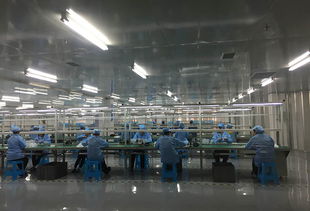 电子产品：创新与变革的时代引擎